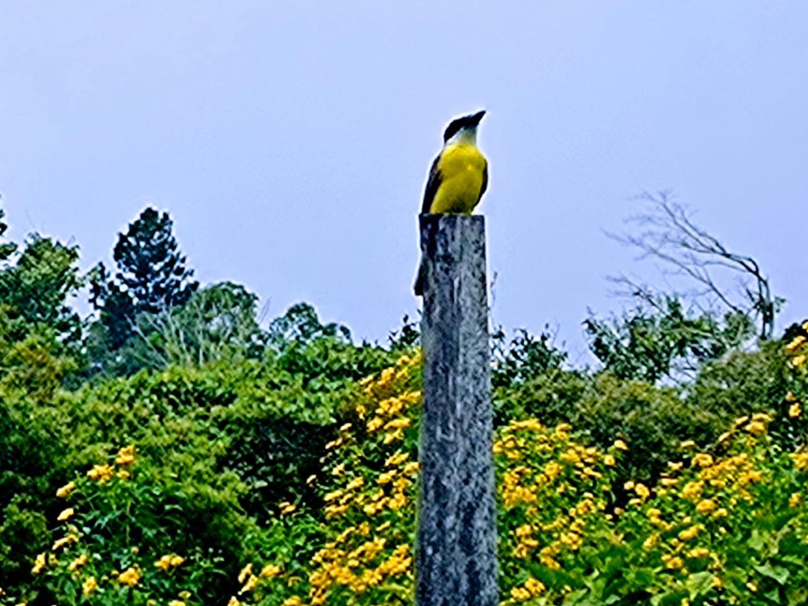 Aloha Chirripo Familiar